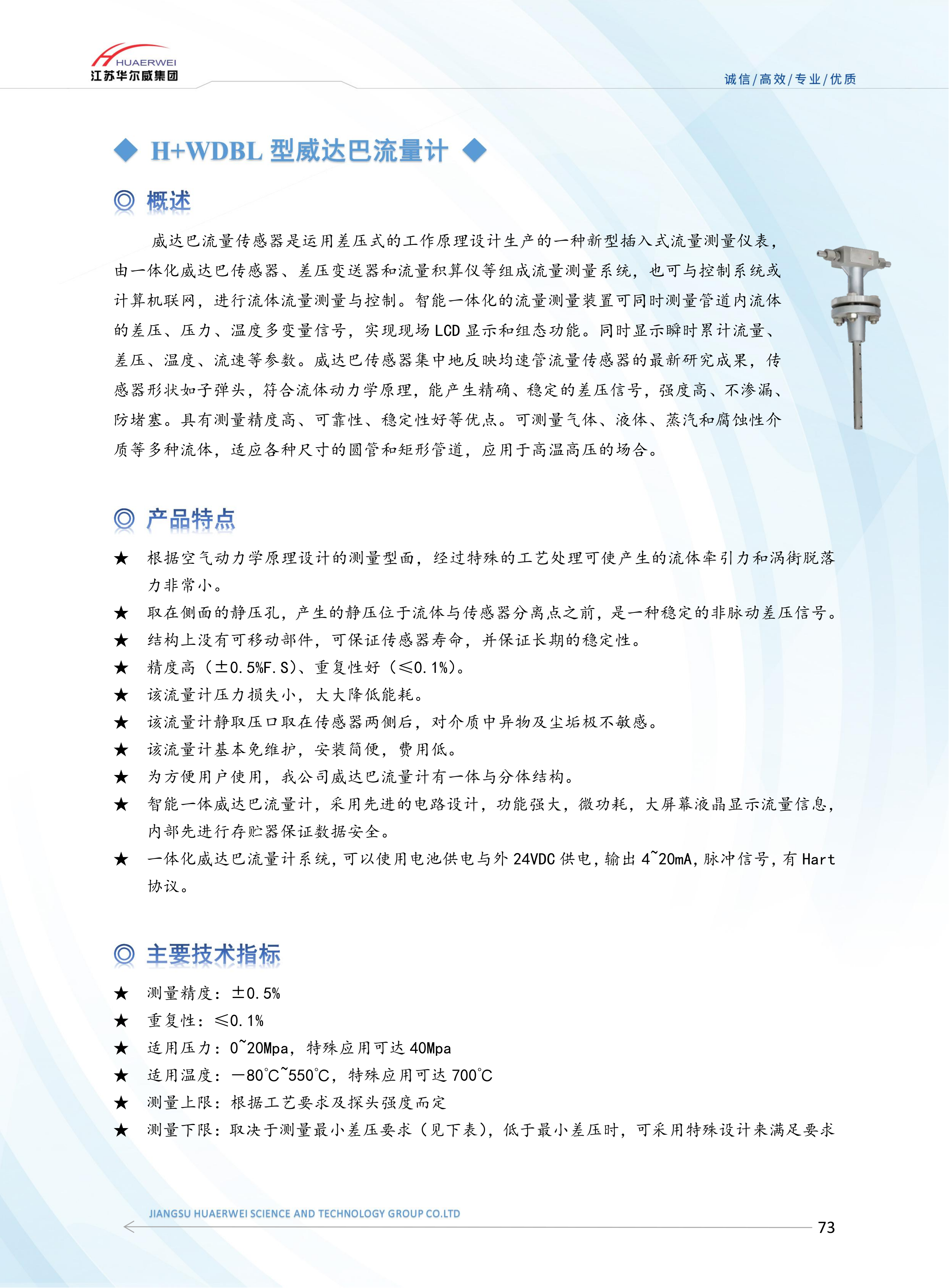 威达巴流量计(图1)