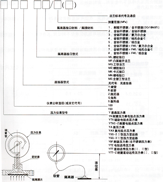 耐震隔膜压力表(图2)